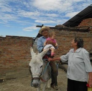 Meet your Posher, Luis